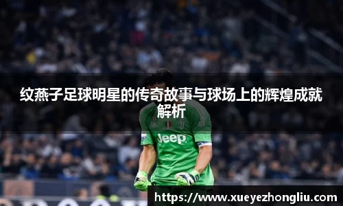 纹燕子足球明星的传奇故事与球场上的辉煌成就解析
