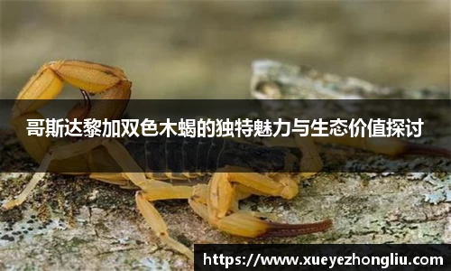 哥斯达黎加双色木蝎的独特魅力与生态价值探讨